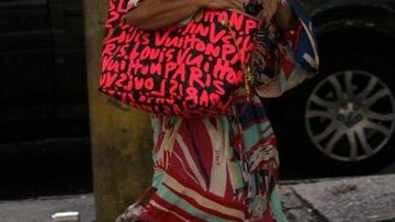 Regina Casé passeia no Rio de Janeiro - AgNews
