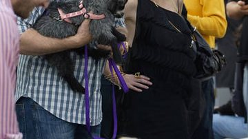 Tori Spelling com o marido Dean McDermott e a cabra de estimação - Cityfiles