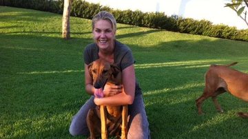 Ana Hickmann se diverte com cachorros - Reprodução / Facebook