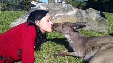 Katy Perry dá selinho em um canguru - Reprodução / Twitter