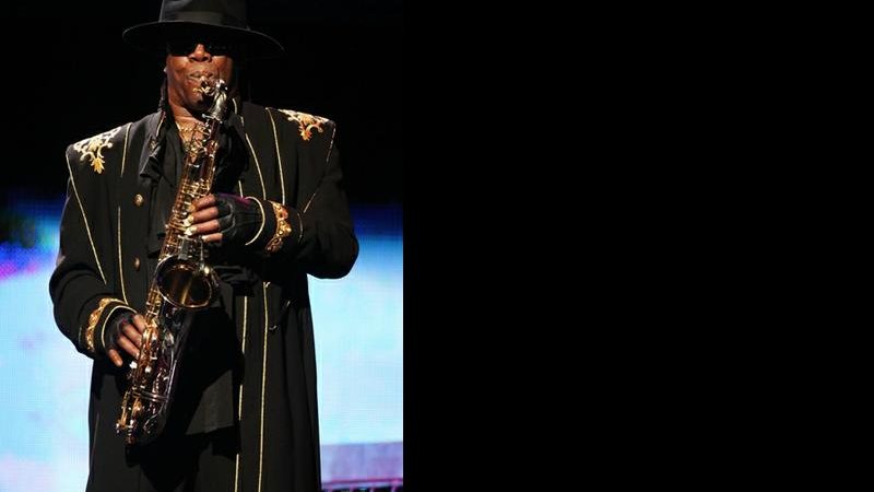 Clarence Clemons - Getty Images