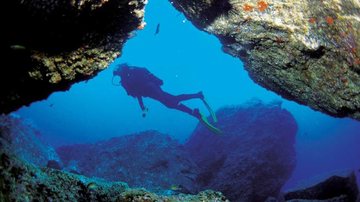 Bom clima e a água morna do Atlântico, onde gostam de mergulhar - Divulgação Vila Monte Resort