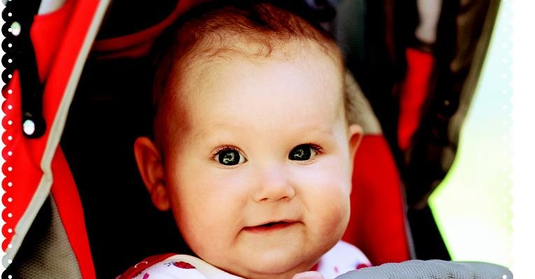 Leve seu bebê com conforto e sofisticação - Shutterstock e Divulgação