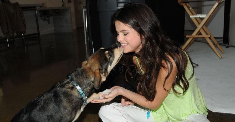 Selena Gomez com seu cãozinho Baylor após a cirurgia - The Grosby Group