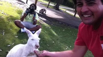 Bruno De Luca se diverte alimentando canguru durante gravações na Austrália - Reprodução/Twitter