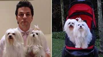 Bebel e Emily com Crô (Marcelo Serrado) e no carrinho de bebês próprio para cães - TV Globo / Site 'Fina Estampa'