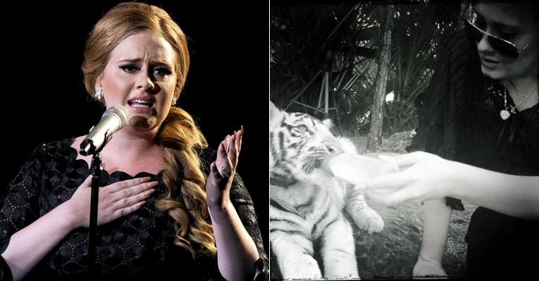 Adele alimenta tigre branco com uma mamadeira - Twitter / Reprodução