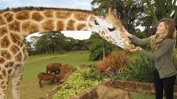 No país africano, Gisele vai a centro de proteção de girafas e se diverte com os animais - Celebrity Agency