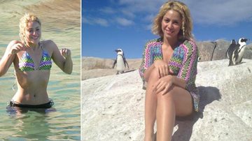 Shakira se diverte ao lado de pinguins na África do Sul - Reprodução/The Grosby Group/Facebook