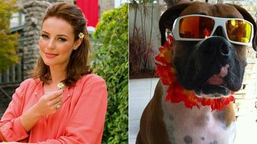 Paola Oliveira mostra seu cachorro pronto para a folia - Reprodução / Twitter