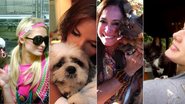 Paris Hilton com seu papagaio, Ivete Sangalo com Bombom, Susana Vieira com a cadelinha que quer adotar e Fiorella Mattheis com sua gatinha