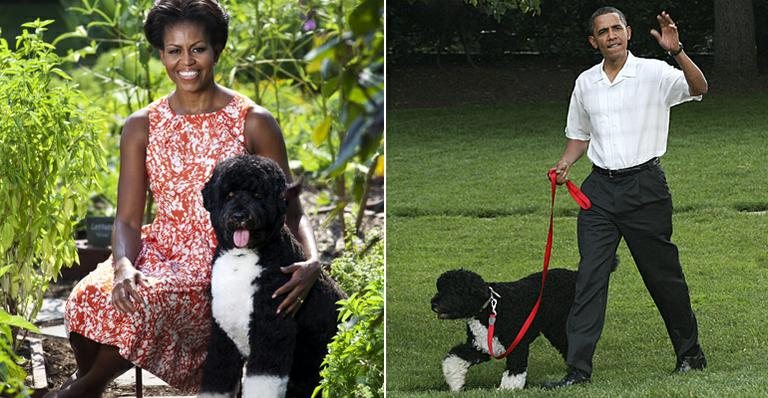 Michelle e Barack Obama com Bo - Divulgação e Getty Images