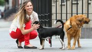 Hilary Swank mima seus cãezinhos em Nova York - The Grosby Group