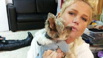 Xuxa com o cachorrinho Dudu - Reprodução / Facebook
