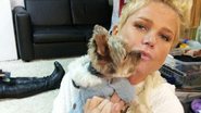 Xuxa com o cachorrinho Dudu - Reprodução / Facebook