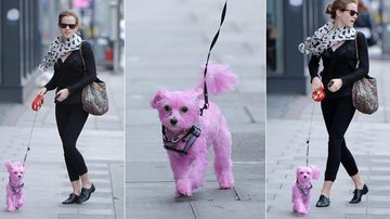Emma Watson passeia com cachorro cor de rosa pelas ruas de Londres - Grosby Group