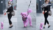 Emma Watson passeia com cachorro cor de rosa pelas ruas de Londres - Grosby Group
