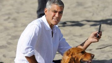 George Clooney - Npg/Brainpix