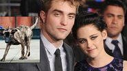 Robert Pattinson e Kristen Stewart; no destaque, o cãozinho Bear - Getty Images e Reprodução