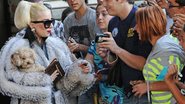 Lady Gaga: protetores dos animais enfurecidos - Splash News