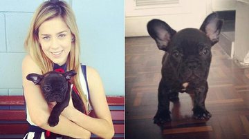 Sophia Abrahão com o cachorrinho Tufi - Reprodução / Instagram