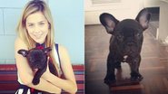 Sophia Abrahão com o cachorrinho Tufi - Reprodução / Instagram