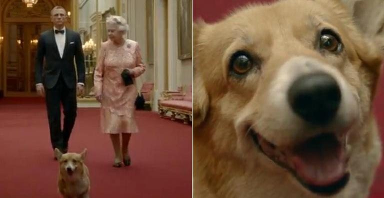 Morre um dos cães de Elizabeth II - Reprodução / BBC
