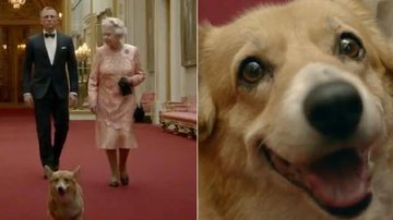 Morre um dos cães de Elizabeth II - Reprodução / BBC