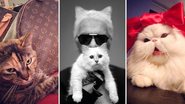 Rich Cats of Instagram: fofinhos e chiquérrimos - Foto-montagem