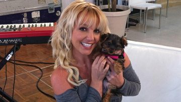 Britney Spears apresenta a cachorrinha Hannah - Reprodução / Twitter