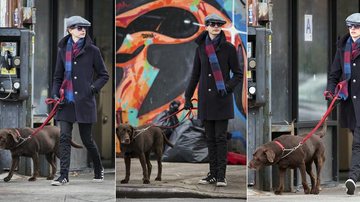 Anne Hathaway passeia com seu cão por Nova York, Estados Unidos - The Grosby Group