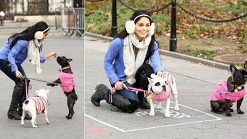 Fofura: Vanessa Hudgens com seus cães nas ruas de Nova York - Grosby Group