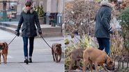 Jessica Biel passeia com seus cães por Nova York, Estados Unidos - The Grosby Group