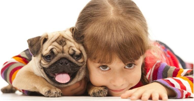Segundo Dr. Pet, cada cachorrinho tem a sua personalidade, independente da raça - Shutterstock