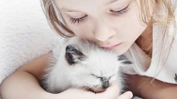 Dr. Pet dá dicas de raças de gatos ideais para sua casa! - Shutterstock