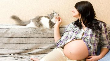 Profissionais esclarecem dúvidas sobre a convivência de gatinhos com grávidas e bebês - Shutterstock