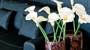 Escolha flores indicadas a ambientes internos e traga sofisticação à decoração da sala - Shutterstock