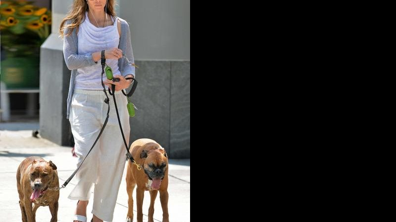 Jessica Biel causa polêmica ao usar coleiras de choque em seus cães. - Grosby Group
