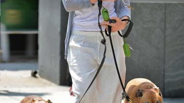 Jessica Biel causa polêmica ao usar coleiras de choque em seus cães. - Grosby Group