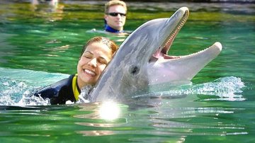 Nívea Stelmann nada com golfinhos na Disney - Divulgação