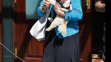 Entretida com seu cãozinho Mr. Chips, Sharon Osbourne passeou tranquila pelas ruas de NY. - Krieger/Bauer-Griffin/Honopix