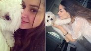 Fernanda Machado volta a gravar novela 'Amor à Vida' após passar por cirurgia - Instagram/Reprodução