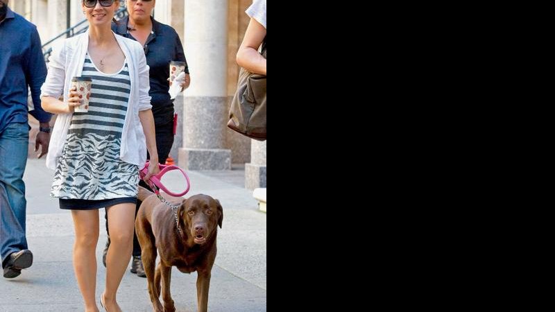 Lucy Liu e seu cão, Jack, em NY - AKM-GSI / AKM-GSI