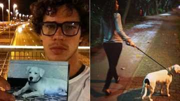 Débora Nascimento e José Loreto agradecem fãs na busca por cadela desaparecida - Instagram/Reprodução