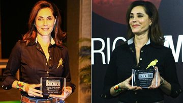 Christiane Torloni é premiada pelo Global Shift Awards no Festival do Rio - Davi de Almeida/Divulgação