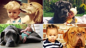 Álbum mostra amizade entre cachorros e crianças - Reprodução/Instagram