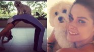 Fernanda Machado com a cachorrinha Cali - Reprodução / Instagram