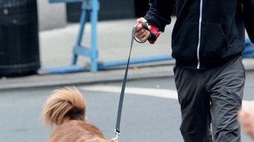 Justin Long  em passeio com seu cão em NY - AKM-GSI/AKM-GSI