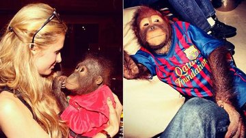 Paris Hilton se diverte ao lado de animais exóticos em Dubai - Instagram/Reprodução