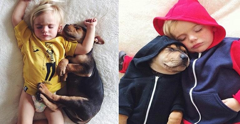 Pet: amor entre bebê e seu cachorro - Foto-montagem